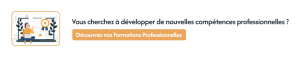 Formation Professionnelles